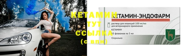 гидра Кодинск