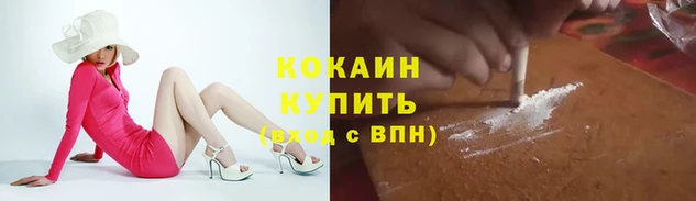 гидра Кодинск