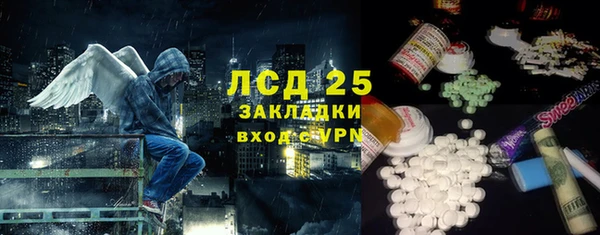 гидра Кодинск