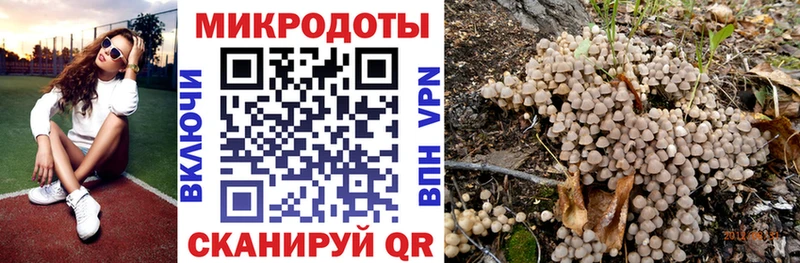 где можно купить наркотик Кораблино Галлюциногенные грибы Magic Shrooms